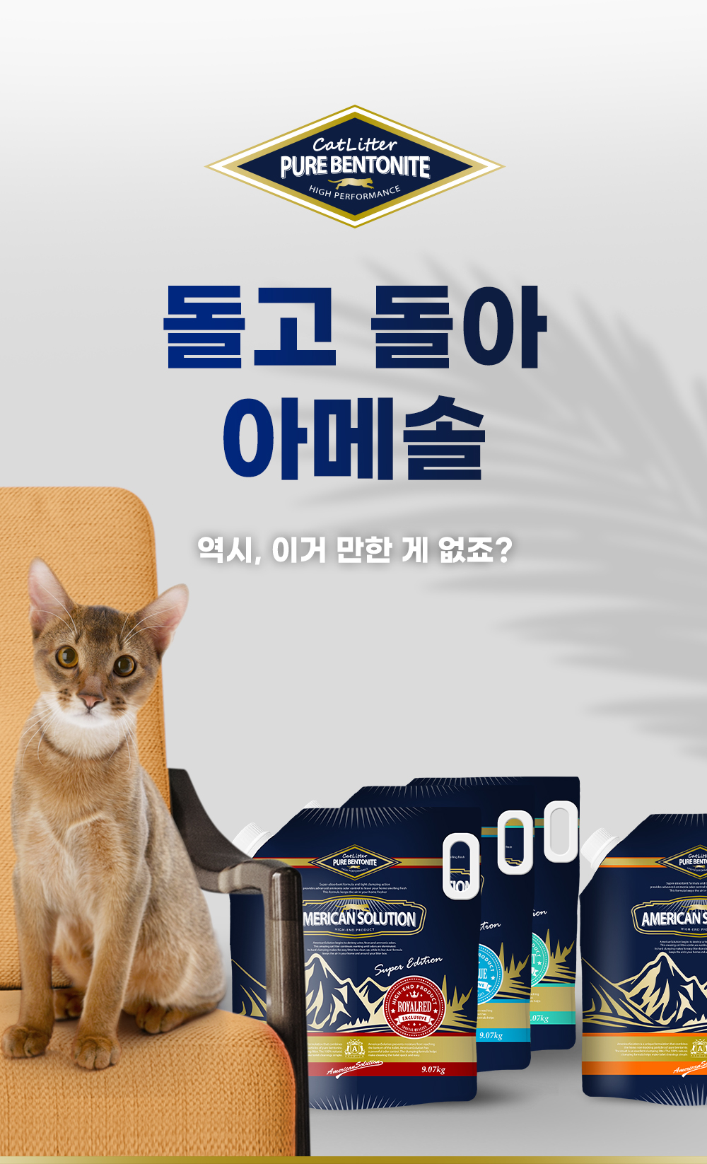 아메리칸솔루션 슈퍼에디션