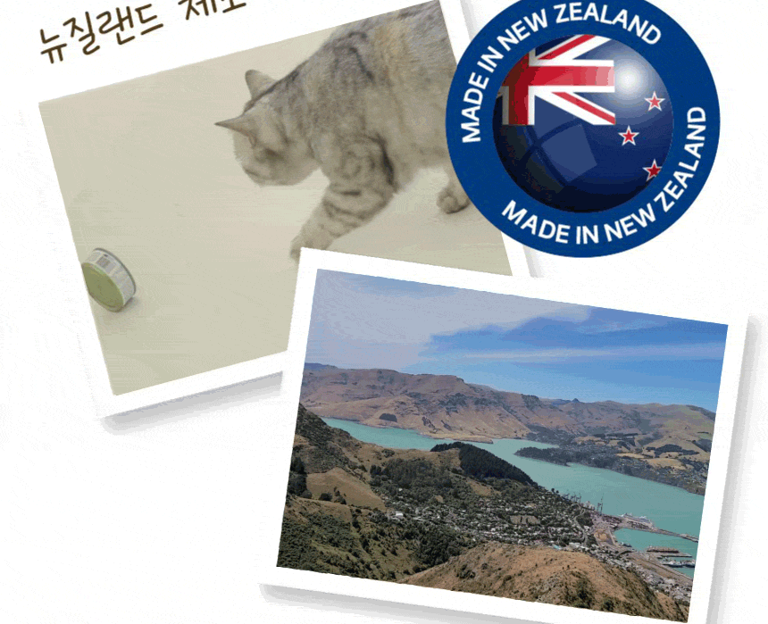 Cats enjoying BREEZEN Pâté with the New Zealand scenery.