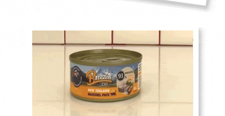 Scene showing the texture of BREEZEN mackerel pâté can.