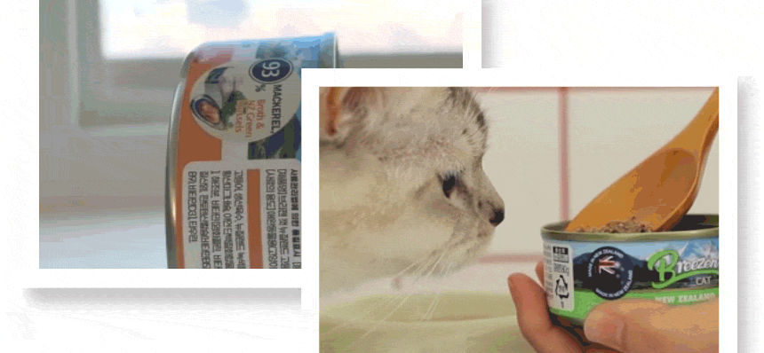 Scooping pâté from the can to feed a cat.