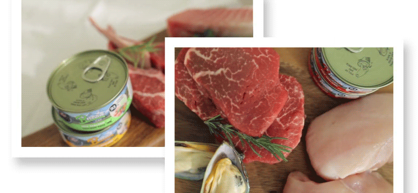 Display of beef, chicken, green-lipped mussels, and BREEZEN pâté cans as ingredients.