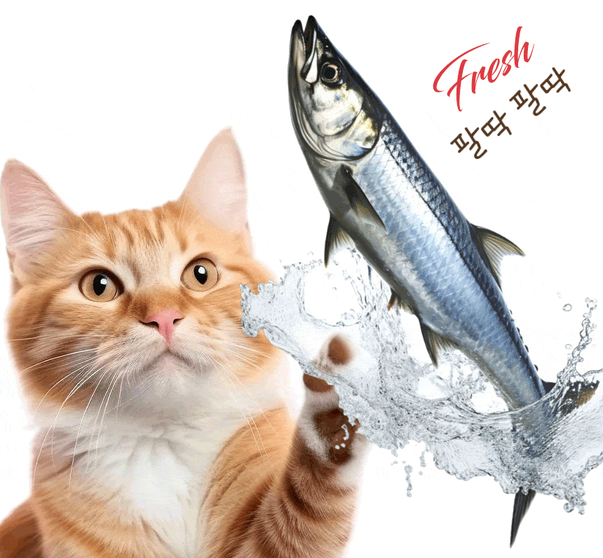Image showing freshness through cats and fish ingredients.