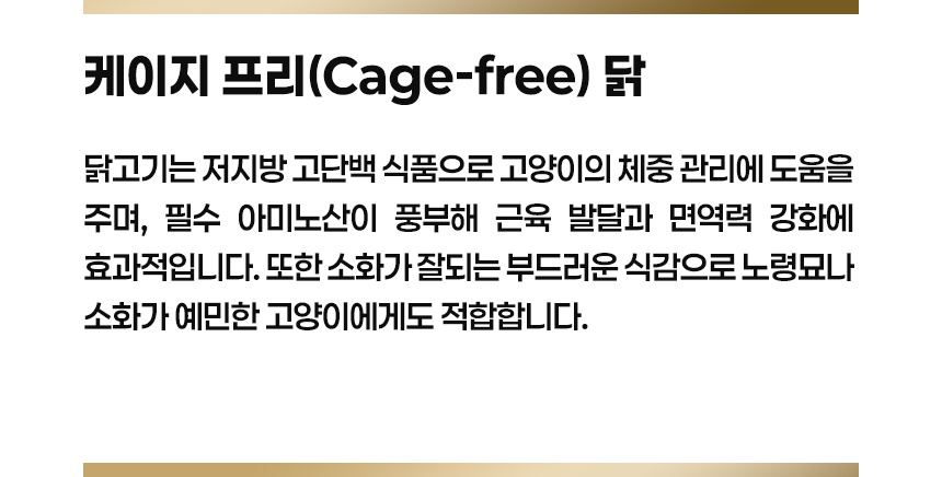 Cage-free chicken ingredients. Highlights the protein and tender texture of lean chicken.