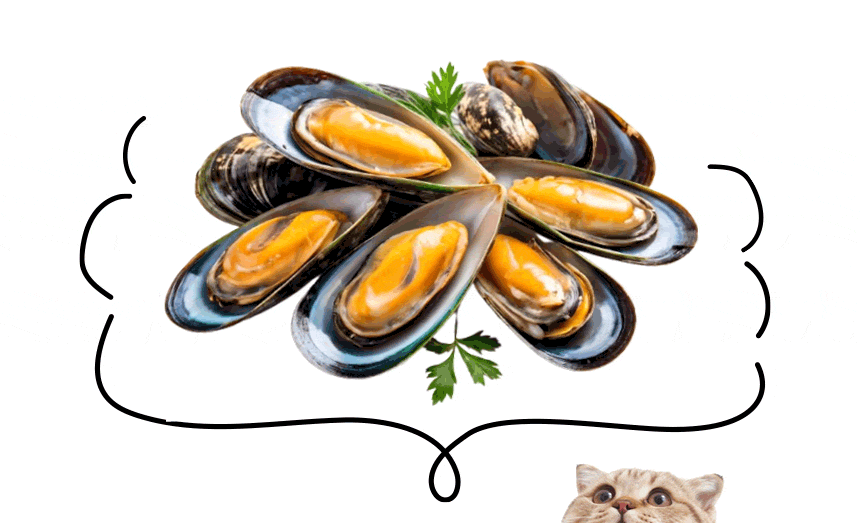 Image of New Zealand green-lipped mussel ingredients.