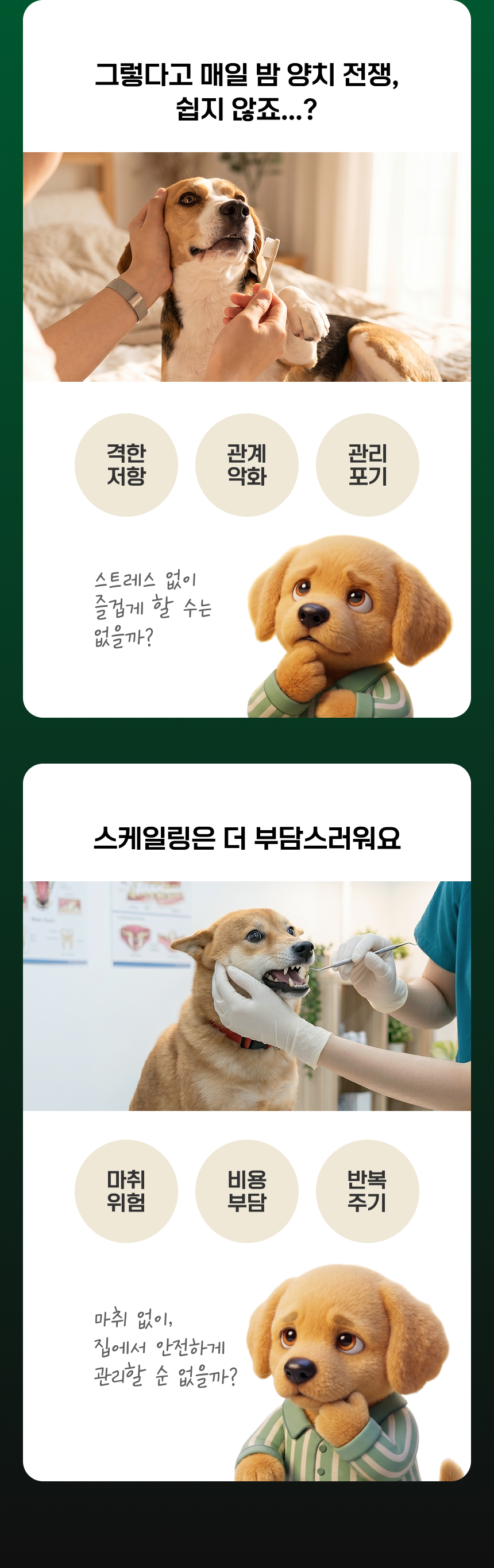 매일 양치, 쉽지 않죠? 양치를 싫어하는 강아지. 양치 때문에 어려워지는 보호자와의 관계. 스케일링 마취와 비용, 반복 관리 부담.