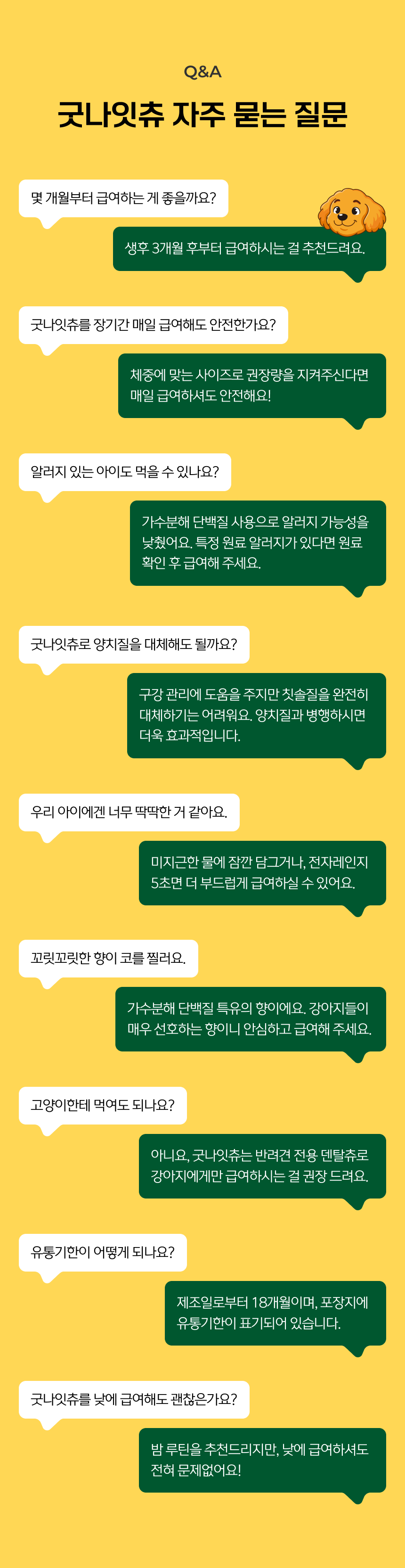 Q&A 굿나잇츄 자주 묻는 질문 - 급여 시작 월령, 매일 급여 안전성, 알러지, 양치 대체 가능 여부, 딱딱함, 향, 고양이 급여, 유통기한, 낮 급여