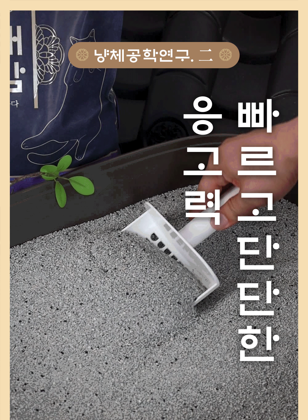 모래도감의 빠르고 단단한 응고력을 소개하는 모래삽 시연.