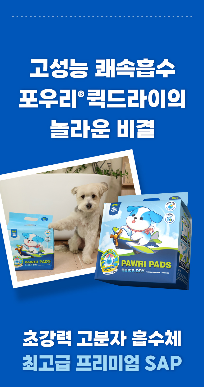 고성능 쾌속흡수 포우리 퀵드라이의 비결. 프리미엄 고분자 흡수체 SAP를 사용한 배변패드.