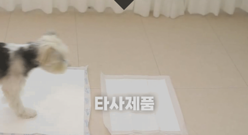 반려견이 타사 패드 위를 이동할 때 패드가 움직이는 비교 장면.