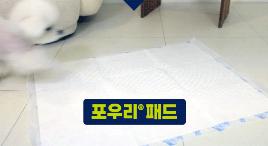 반려견이 포우리패드 위로 이동하는 논슬립 사용 시연.