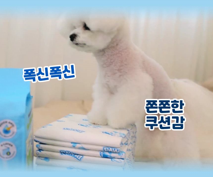 포우리패드 위에 앞발을 올린 반려견. 폭신폭신하고 쫀쫀한 쿠션감.