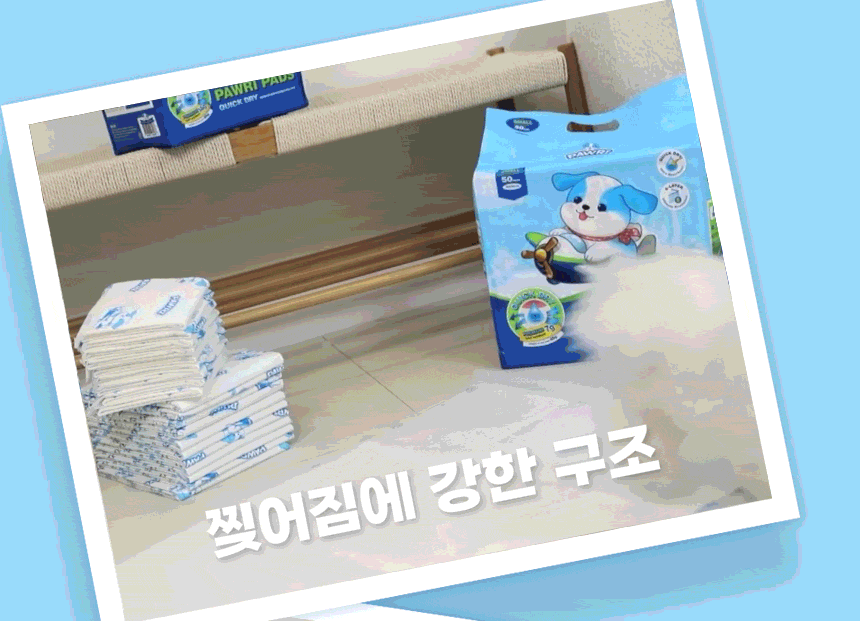 포우리패드의 찢어짐에 강한 구조를 소개하는 반려견 사용 장면.