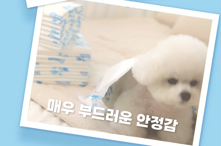 매우 부드러운 안정감. 포우리패드 위에서 쉬는 반려견.