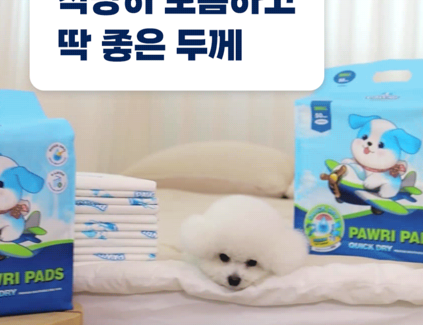 적당히 도톰한 두께의 포우리 퀵드라이 패드와 반려견.