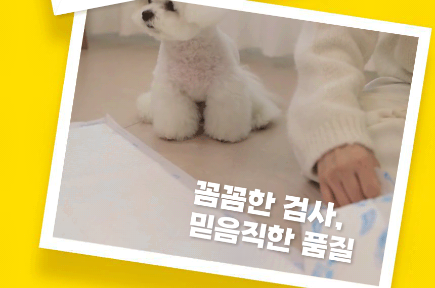꼼꼼한 검사, 믿음직한 품질. 포우리 퀵드라이 패드와 반려견.